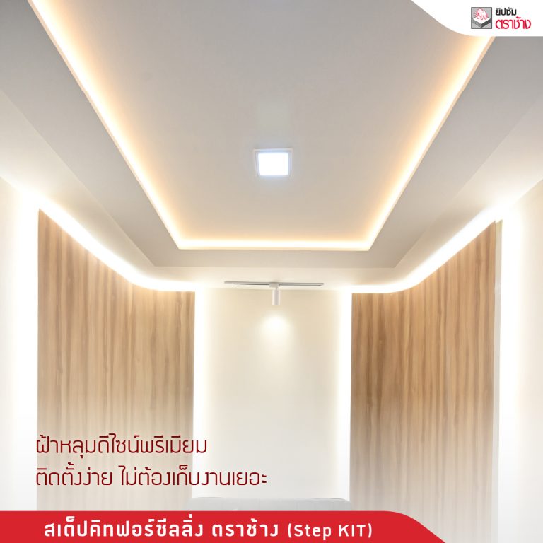 ฝ้าหลุม เชียงใหม่